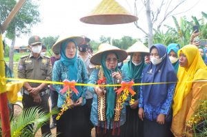 Ketua Tim Penggerak PKK Louncing Hidroponik Park dan Agro Edukasi di Kampung Sulusuban